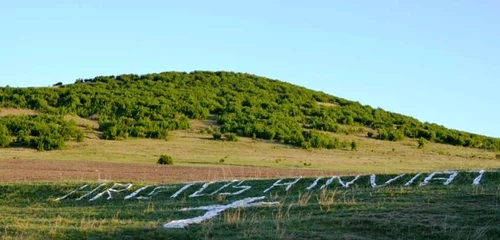 izvor nicolae balcescu tulcea