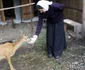 manastire zoo bistrita 1