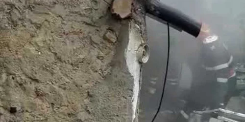 5dbb0d665163ec42719243fb jpg