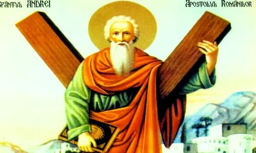 1 78446 original jpg jpeg