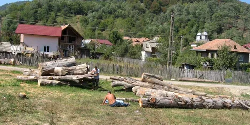 Tatăl la capul copilului decedat, după ce a fost lovit de un lemn