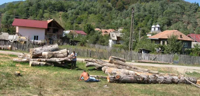 Tatăl la capul copilului decedat, după ce a fost lovit de un lemn