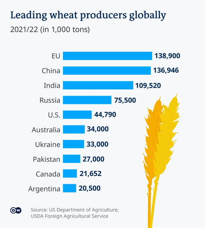 Cei mai mari producători de cereale la nivel mondial