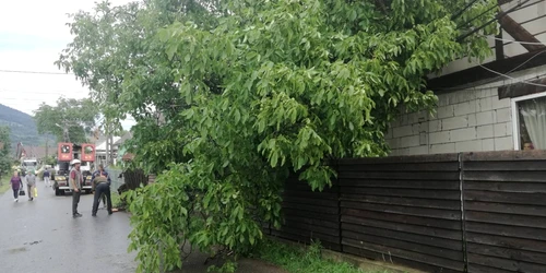 furtuna bistrita 3