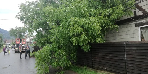 furtuna bistrita  3