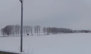 Vasalii gravitaţiei jpeg