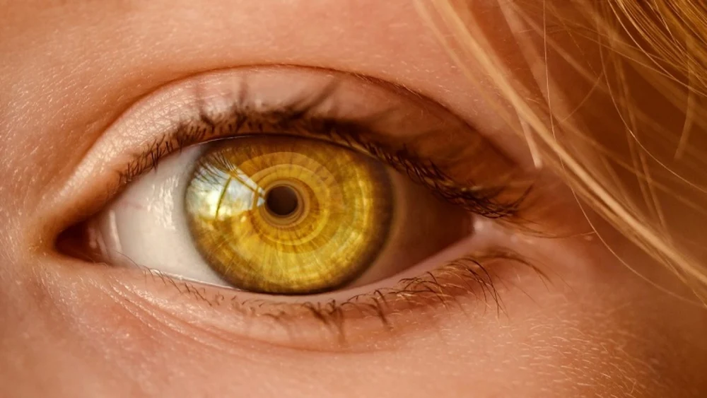 O cornee artificială realizată din solzi de pește ar putea fi o alternativă mai ieftină la transplantul ocular