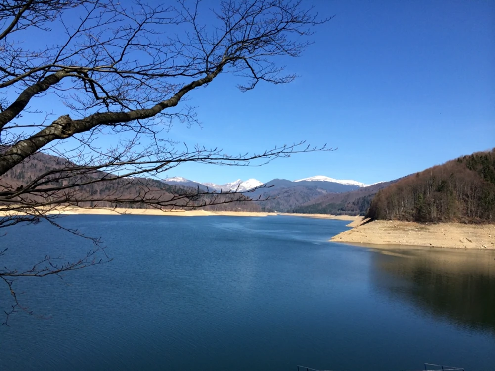 CLIIMA20140414_0029