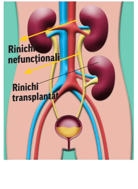 Samantha (41 de ani) şi Andy Lamb (45 de ani) s-au despărţit în 2012, dar sunt încă în proces