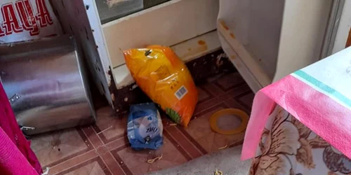 Noaptea trecuta am primit o vizita neastaptata. FOTO