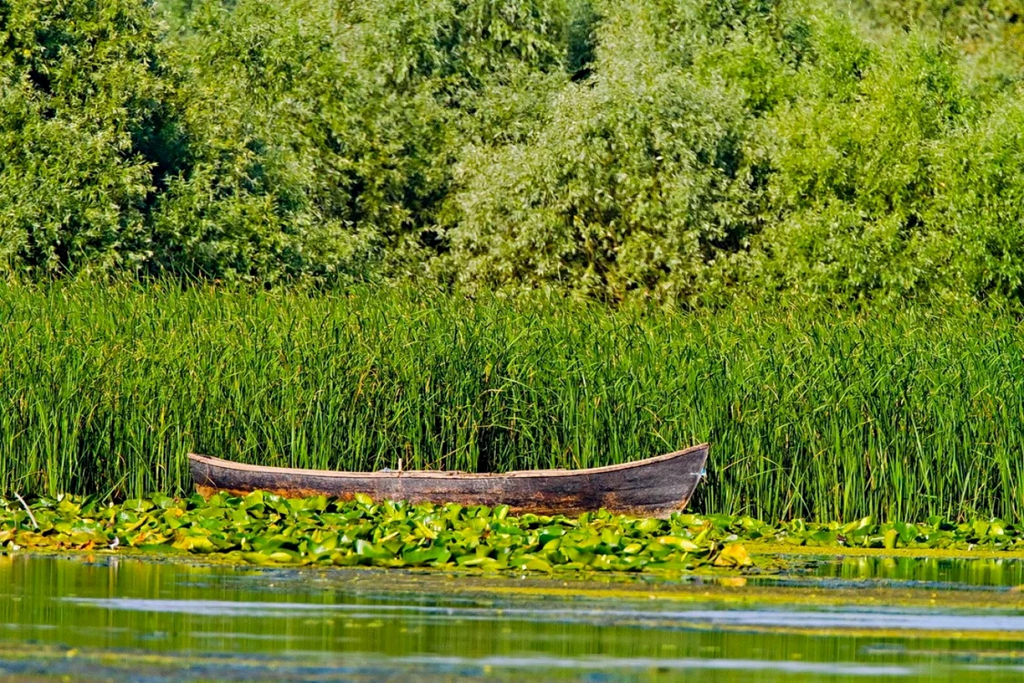 O barcă în stuful din Delta Dunării