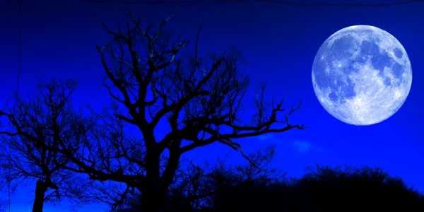 calarasi luna