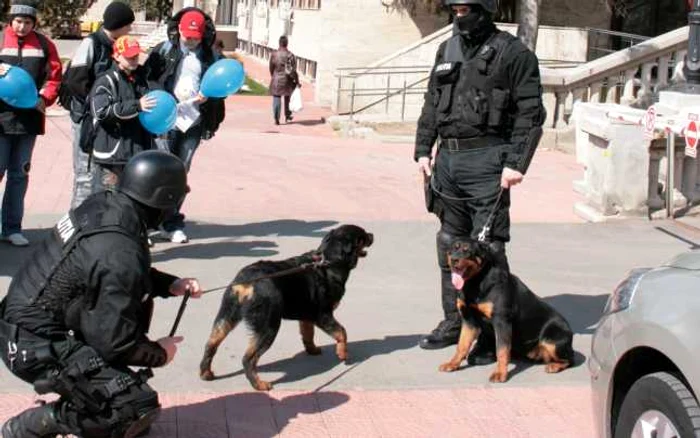 Neamţ: Poliţia Copiilor