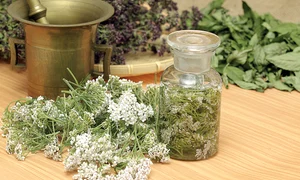 coada soricelului jpeg