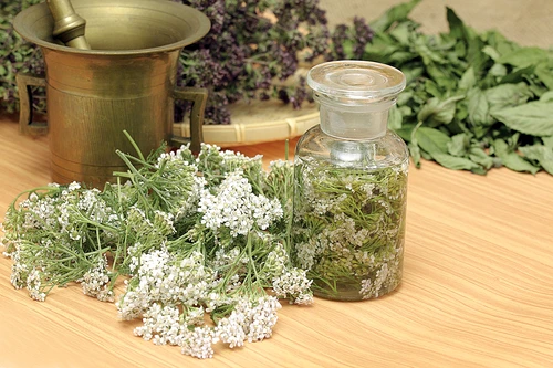 coada soricelului jpeg