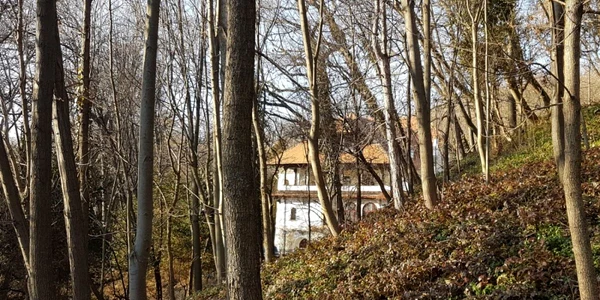 Vila Florica