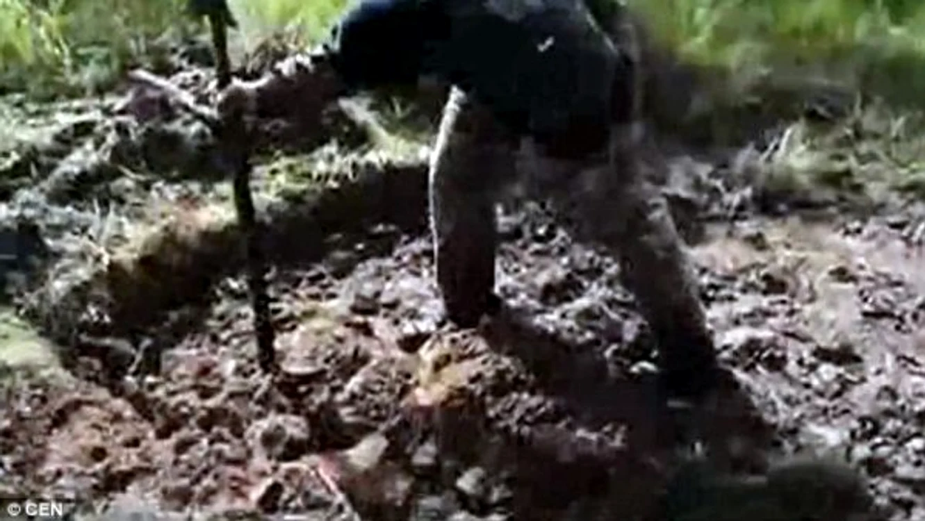 Un separatist rus ar fi fost îngropat de viu de soldații ucraineniFoto: CEN