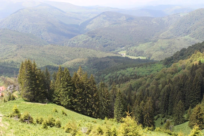 muntele rosu cheia foto diana frîncu