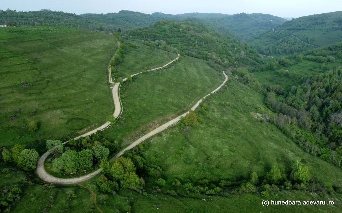Dealul Alunului. Foto: Daniel Guță.