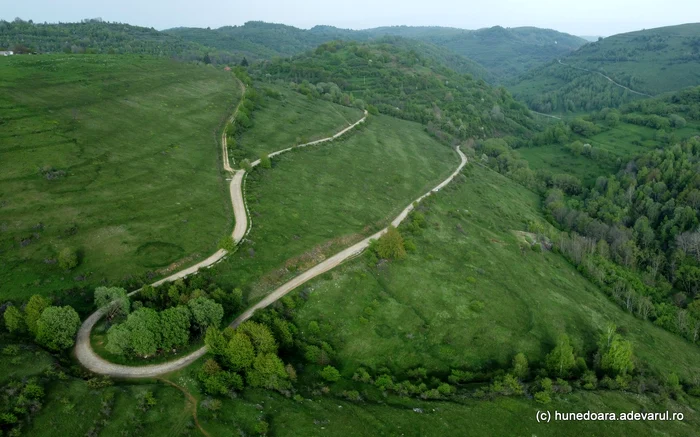 Dealul Alunului. Foto: Daniel Guță.