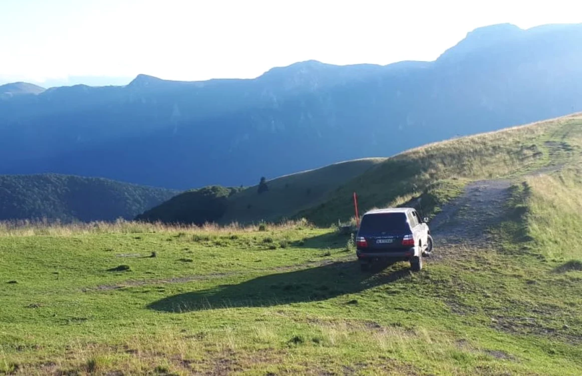 Şoferul va fi amendat cu cel puţin 1000 de lei pentru că a intrat cu autoturismul pe fondul cinegetic
