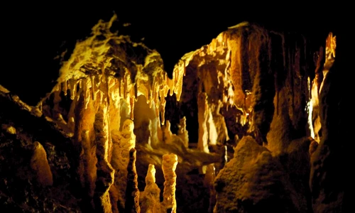 1 58606 original jpg jpeg