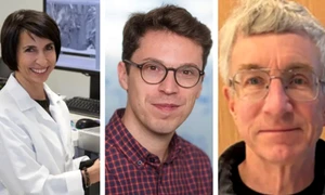 oameni stiinta disparuti sua  jpg