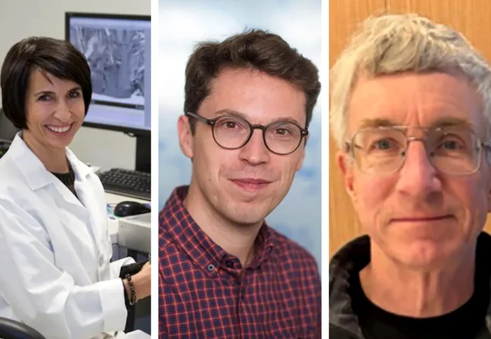 Zece oameni de știință din SUA au muirt, au fost uciși sau au dispărut.  