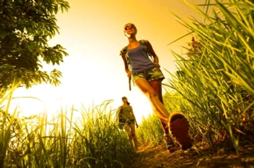 415ef28415c244bca8e69c61361454ce jpg jpeg