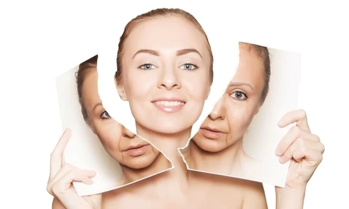 1 shutterstock 544399165 jpg jpeg