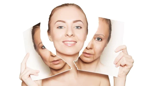 1 shutterstock 544399165 jpg jpeg