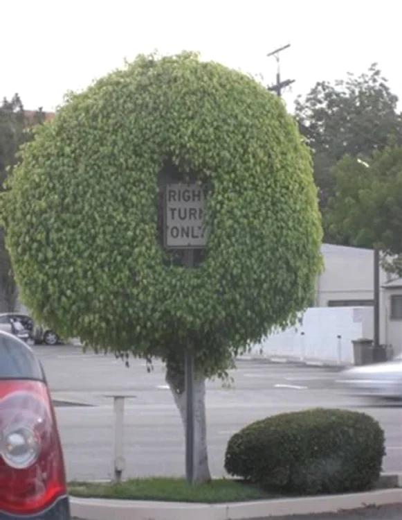 „Dorel” e universal!