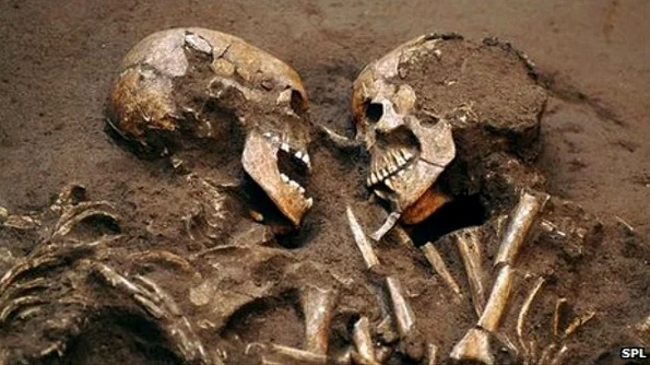 O recentă cercetare dă peste cap teoriile privind originea europenilor jpeg