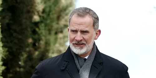 Felipe al VI imagine X jpeg