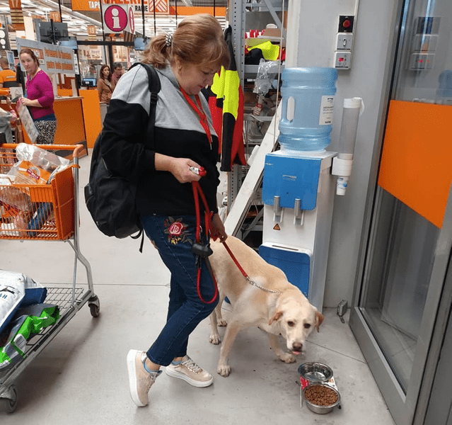 Emanciparea câinilor în Timișoara. Patrupezii, acceptați în tot mai multe spații comerciale