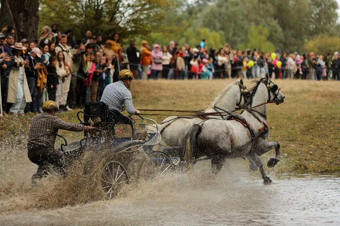 Foto: Ștefan Stoica și Diana Grigoriu