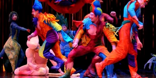 Cirque du Soleil - Varekai