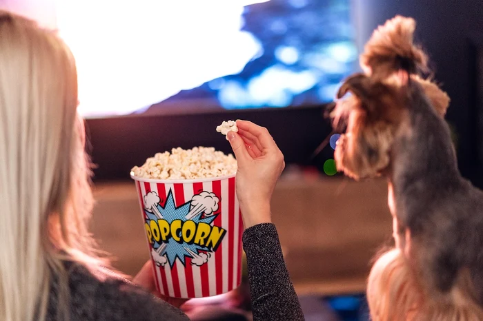Mâncatul la tv duce la supraalimentare Foto: Pixabay.com 