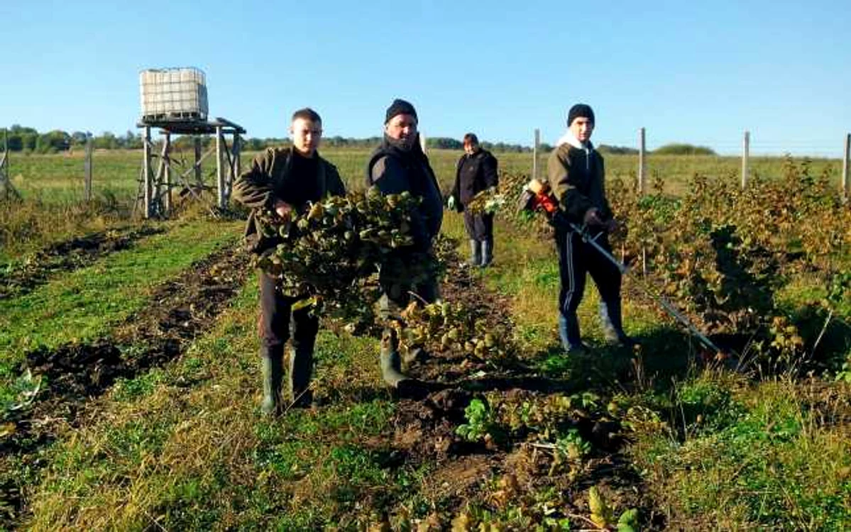 Locuri de munca in agricultura in Spania si Portugalia