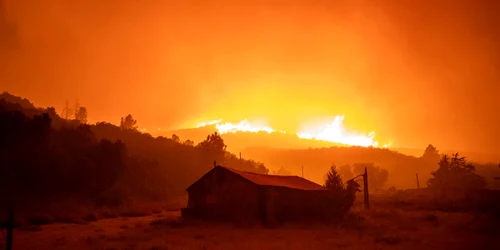 Incendiile au distrus California. Peste 500 de case sunt evacuate. FOTO EPA-EFE