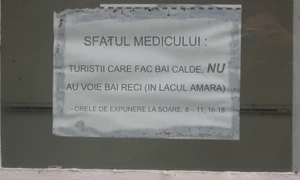 Management de vacanță jpeg