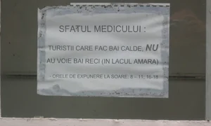 Management de vacanță jpeg