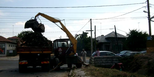 Angajaţii Primăriei au făcut ordine