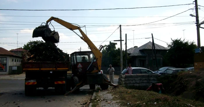 Angajaţii Primăriei au făcut ordine