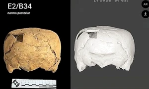 Craniu uman neobișnuit, în formă de cub, descoperit în Mexic (© INAH)