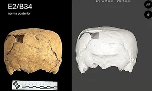 Craniu uman neobișnuit, în formă de cub, descoperit în Mexic (© INAH)