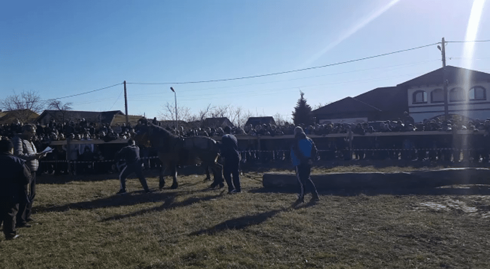 „Botezul cailor”, obiceiul care arată cât de mult s-a schimbat satul românesc. „Acum e mult spectacol” VIDEO