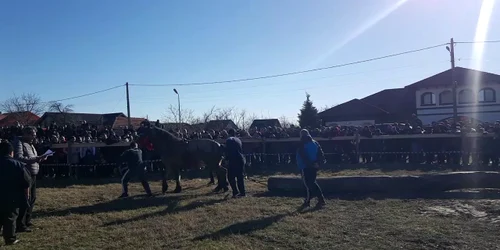 bottezul cailor la slatioara, olt   foto roxana mihalache (1) mp4 thumbnail png