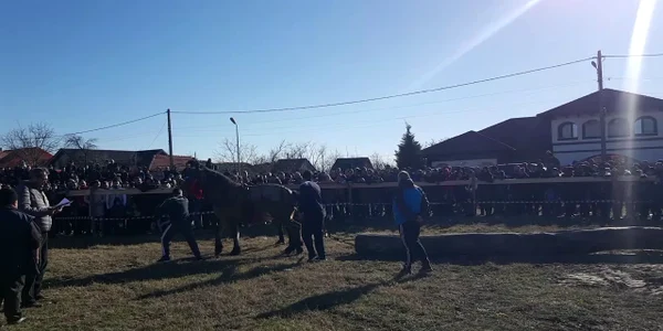 bottezul cailor la slatioara, olt   foto roxana mihalache (1) mp4 thumbnail png