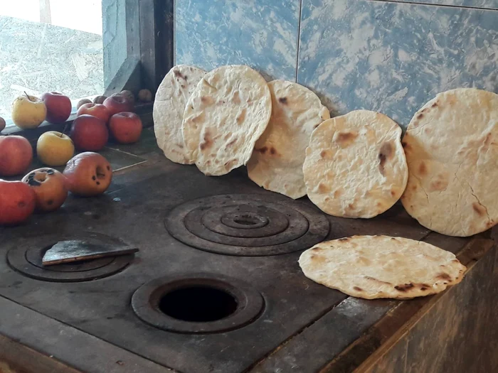 Se pregătesc turtele FOTO Cosmin Zamfirache